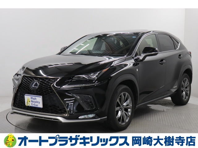 NX 300h Fスポーツ 