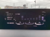 i-DM(インテリジェント・ドライブ・マスター)は運転操作の無駄を抑えたスムーズな運転をサポートし、快適なドライブや燃料消費を抑える事にも役立つアイテムです。
