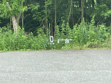 ◆北は北海道から南は沖縄まで、ご購入いただいたお車は全国にご納車が可能です!お電話、メール、動画などでリモートでお車のご案内も可能です!親切、丁寧に対応させて頂きますのでお気軽にご相談ください!