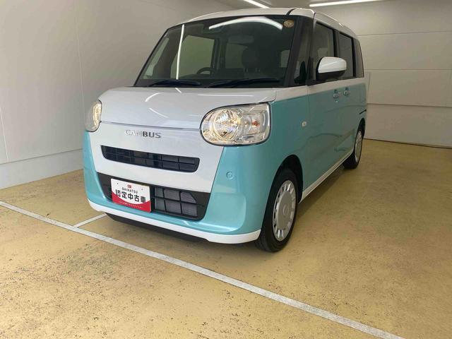 ムーヴキャンバス  ストライプス X