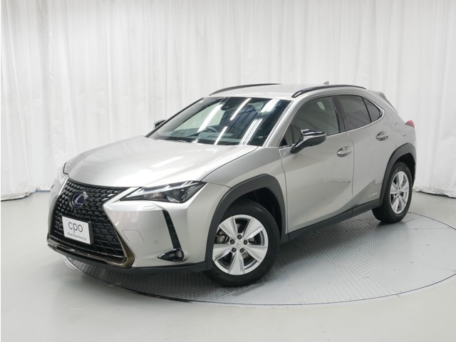 UX 250h