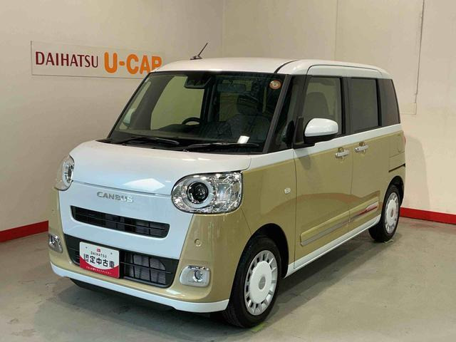 ムーヴキャンバス  ストライプス G