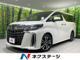 両側電動ドア 後席モニター バックカメラ 衝突被害軽減システム