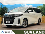 純正9型ディスプレイオーディオ 両側電動ドア バックカメラ