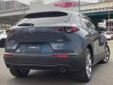 CX-30のエクステリアデザインは、小さなさざ波が周囲と連動しながら大きなうねりとなって拡散していく様子は、さながら光のアートです。