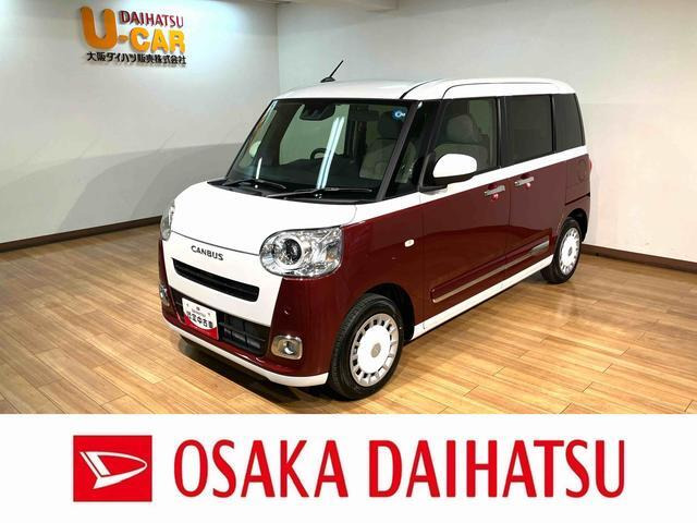 ムーヴキャンバス  ストライプス G