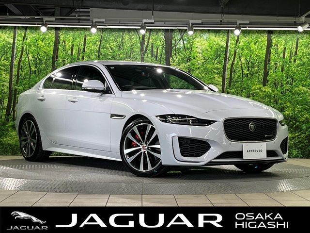 XE R-ダイナミックS