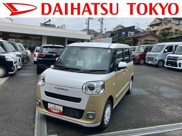 ムーヴキャンバス  ストライプス G