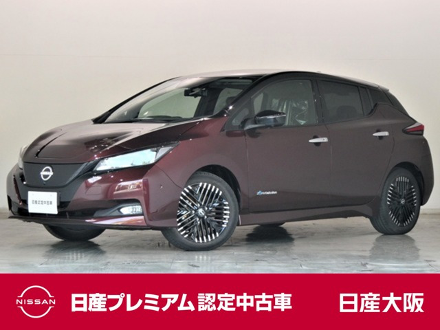 リーフ G