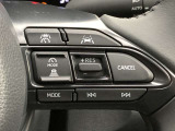前方の車との車間を設定し、スピードを上げたり緩めたりを自動で行ってくれる追尾式の「レーダークルーズ」。上級装備の一つです!高級車にしかつかない嬉しい機能です。