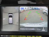 サクラ X 