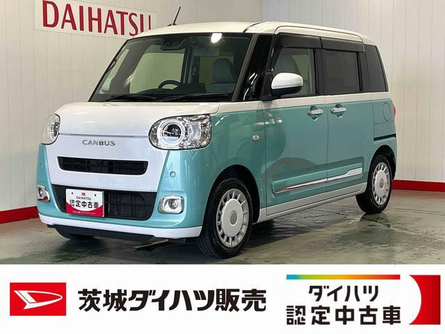 ムーヴキャンバス  ストライプス G