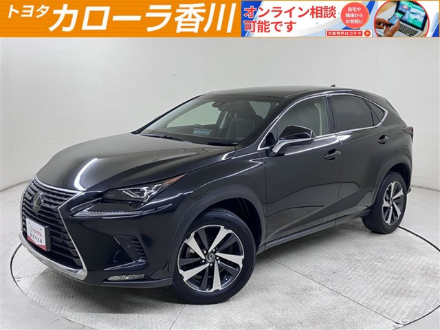 NX 300 Iパッケージ 