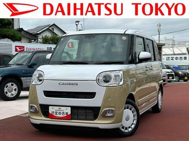 ムーヴキャンバス  ストライプス G
