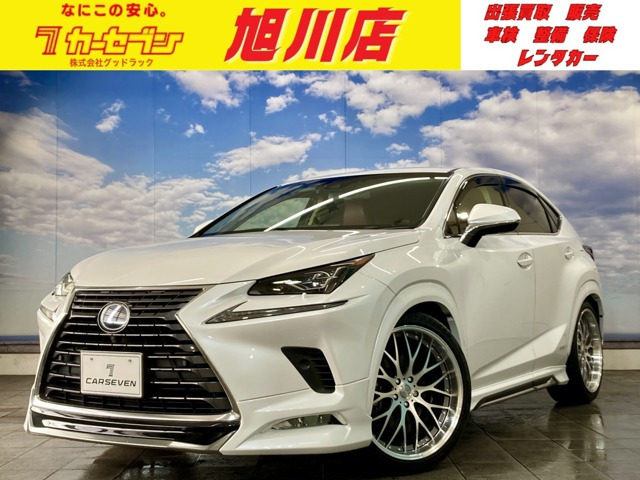 NX 300h バージョンL 4WD 21インチ社外AW フルエアロ ローダウン