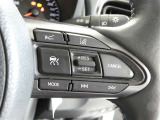 ステアリングスイッチでクルーズコントロール機能の操作ができます。長距離の高速走行時の疲労軽減や燃費に役立ちます。