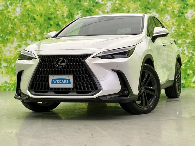 NX 250 バージョンL