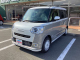 ムーヴキャンバス  ストライプス G