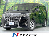 BIG-X8型ナビ 後席モニター バックカメラ 両側電動ドア 衝突軽減