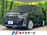 後期 ツインムーンルーフ 純正9型ナビ フリップダウンモニター BSM