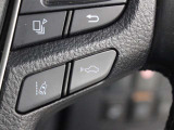 レーダークルーズコントロール作動時に車線維持に必要な運転操作の支援を行う「レーントレーシングアシスト(LTA)」を搭載しています。