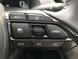 【ステアリングスイッチ】右です。ハンドルから手を離さず、運転に集中したまま手元でマルチインフォメーションディスプレイ内の表示切替などができます。