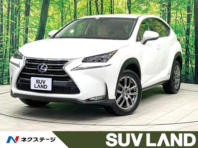 NX 300h Iパッケージ 