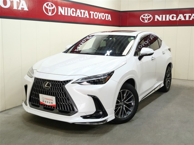 NX 450hプラス バージョンL 4WD 