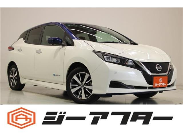 リーフ e+ X 禁煙車 純正9インチナビ 全周囲カメラ