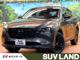 禁煙 10型ナビ 全周囲カメラ レーダークルーズ メモリーシート ETC