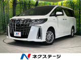 レーダークルーズ 電動リアゲート レザーシート