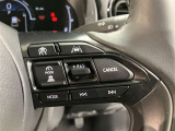 残価設定型クレジットをご用意しております。車両価格の一部をあらかじめ残価として据え置き、残りの金額を分割払いとするプランです。 詳しくはスタッフにお問合せください。