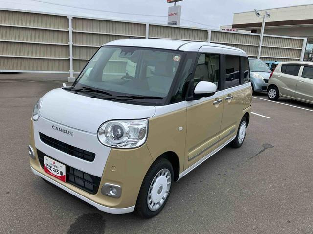 ムーヴキャンバス  ストライプス G