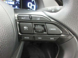 ステアリングスイッチ付き。前方から目を離すことなく操作することが可能なのでわき見運転の防止に!