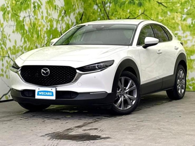 CX-30 2.0 20S プロアクティブ