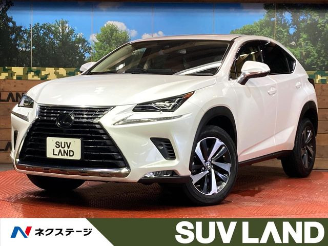 NX 200t Iパッケージ