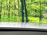 【カラーヘッドアップディスプレイ】現在の速度や走行情報をデジタル表示で運転席前方のガラスに投影!カラー付きで視認性も高く、運転中目線をずらさず必要な情報を確認できるのでとっても便利で安心!