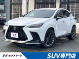 純正14インチナビ 全周囲カメラ 3眼LEDヘッド 黒革シート
