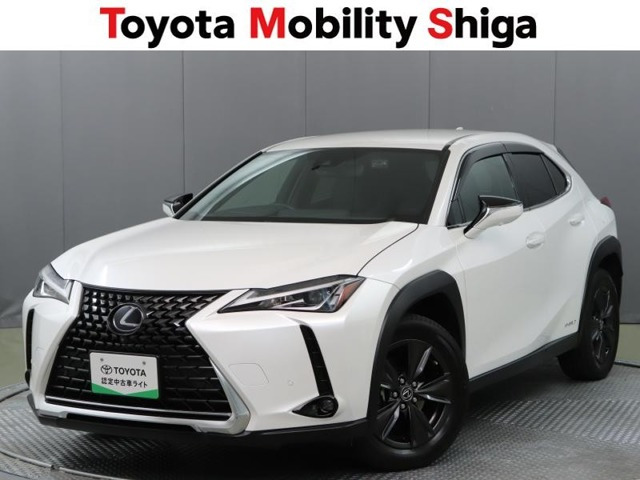 UX 250h ブラウン エディション 