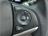 ◆アダプティブクルーズコントロール◆予め設定した車速内でクルマが自動的に加減速。前走車との適切な車間距離を維持しながら追従走行します。【LKAS】車線維持支援システムでステアリング操作を支援。