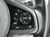 ◆アダプティブクルーズコントロール◆予め設定した車速内でクルマが自動的に加減速。前走車との適切な車間距離を維持しながら追従走行します。【LKAS】車線維持支援システムでステアリング操作を支援。