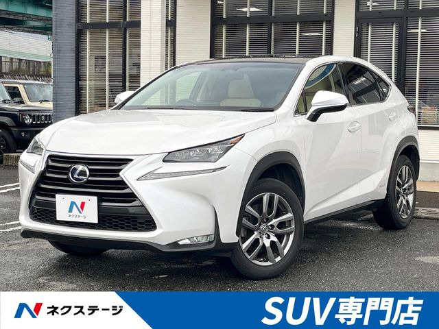 NX 300h Iパッケージ 