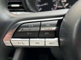ステアリング左にはオーディオスイッチをまとめて配置しており、運転中のオーディオ操作による危険を減らしてくれます。