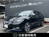 ニッサン リーフ e+G ワンオーナー メーカーナビ プロパイロット アラウンドモニター インテリキー