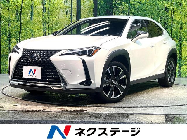 UX 250h バージョンC 