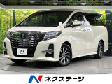 衝突軽減 純正10型ナビ バックカメラ 後席モニター オットマン ETC