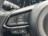 手元で操作が出来るオーディオスイッチやハンズフリースイッチを装備。