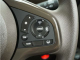 ◆アダプティブクルーズコントロール◆予め設定した車速内でクルマが自動的に加減速。前走車との適切な車間距離を維持しながら追従走行します。【LKAS】車線維持支援システムでステアリング操作を支援。