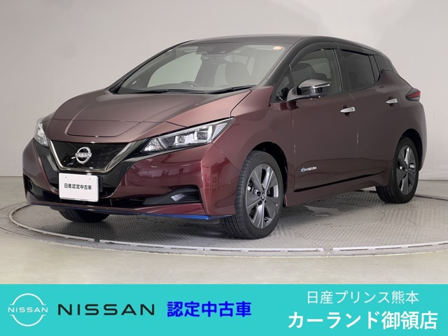 リーフ  e+ アーバンクロム
