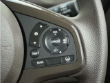 ◆アダプティブクルーズコントロール◆予め設定した車速内でクルマが自動的に加減速。前走車との適切な車間距離を維持しながら追従走行します。【LKAS】車線維持支援システムでステアリング操作を支援。